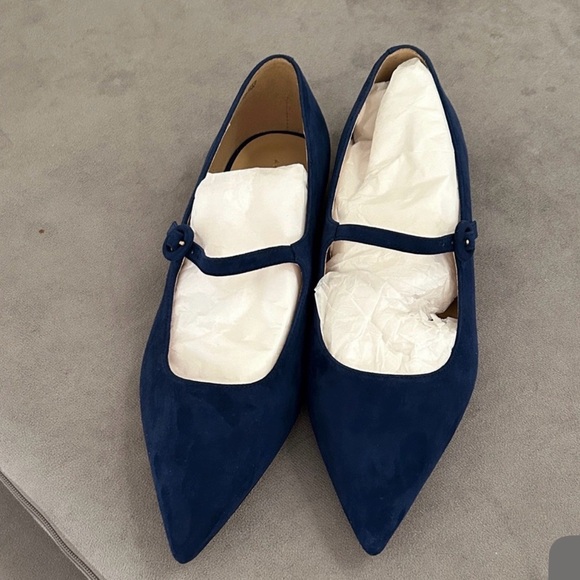 Ann Taylor Navy Blue Suede Mary Jane Buckle Pointy Toe Flats Size 9.5 - Picture 2 of 6